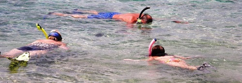 snorkeling.jpg